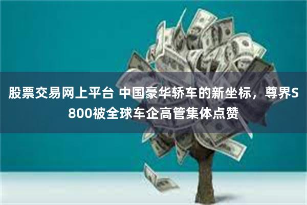 股票交易网上平台 中国豪华轿车的新坐标，尊界S800被全球车企高管集体点赞