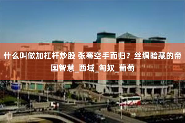 什么叫做加杠杆炒股 张骞空手而归？丝绸暗藏的帝国智慧_西域_匈奴_葡萄