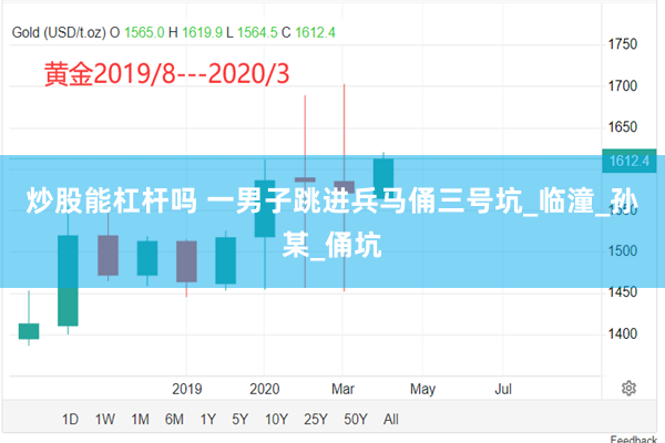炒股能杠杆吗 一男子跳进兵马俑三号坑_临潼_孙某_俑坑