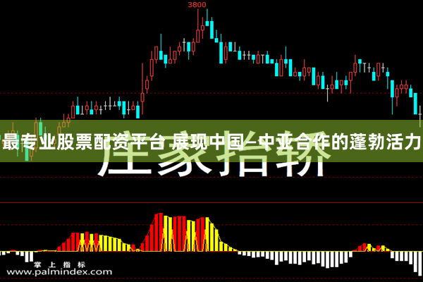 最专业股票配资平台 展现中国—中亚合作的蓬勃活力