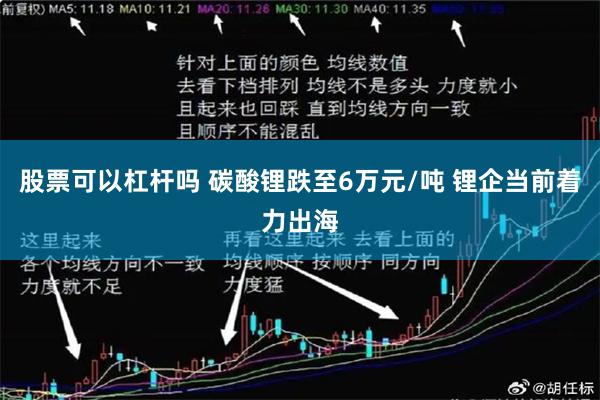 股票可以杠杆吗 碳酸锂跌至6万元/吨 锂企当前着力出海