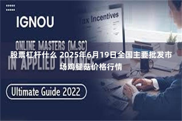 股票杠杆什么 2025年6月19日全国主要批发市场鸡腿菇价格行情